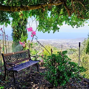  Landhaus Tizziri Rural Spanien